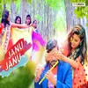 About Janu Janu Song